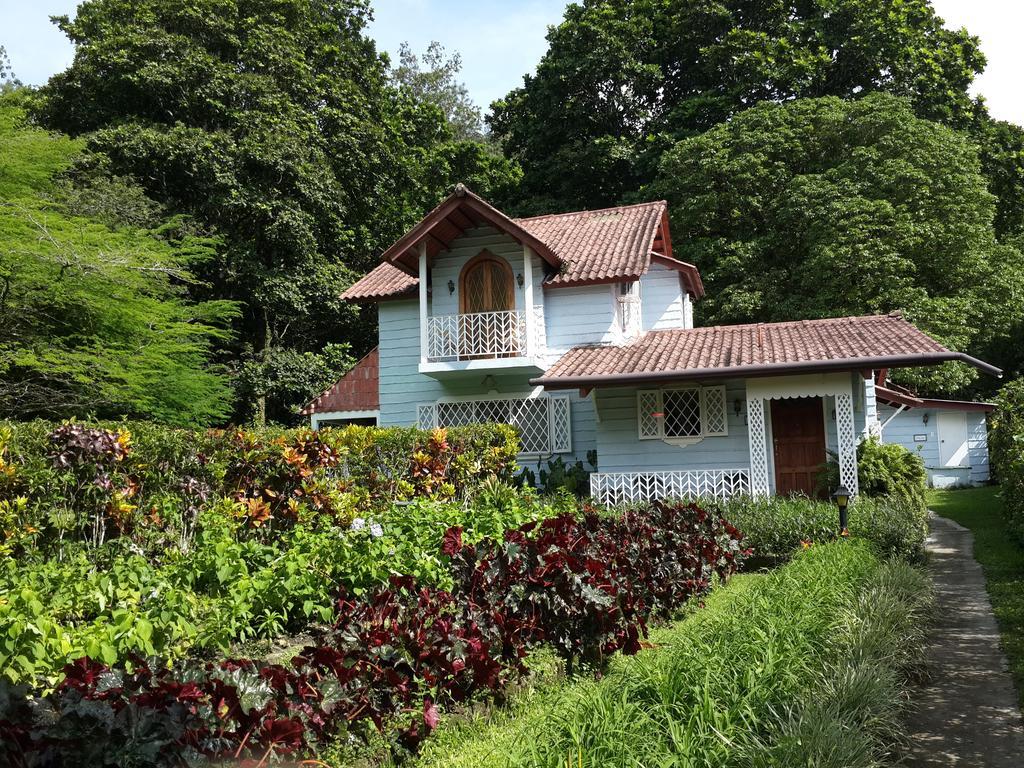 Park Eden Bed & Breakfast Los Llanitos Номер фото